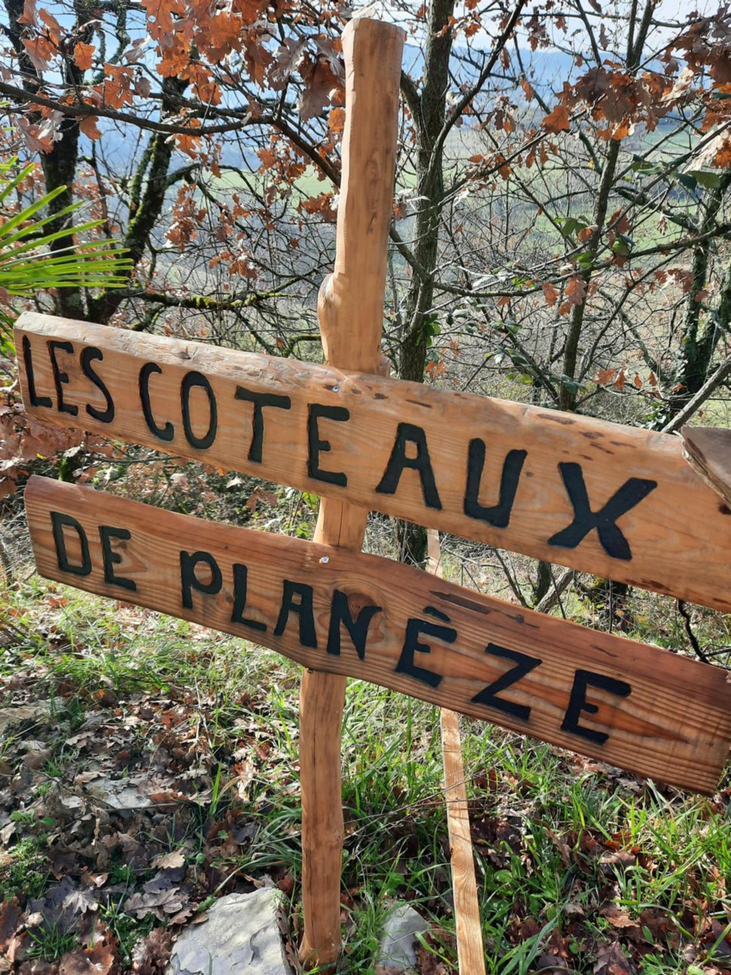 Les Coteaux De Planeze, Chambre Pour 2, 3 Ou Famille Nombreuse 2 Adultes 5 Enfants Et Jeunes Belmont-Bretenoux Esterno foto